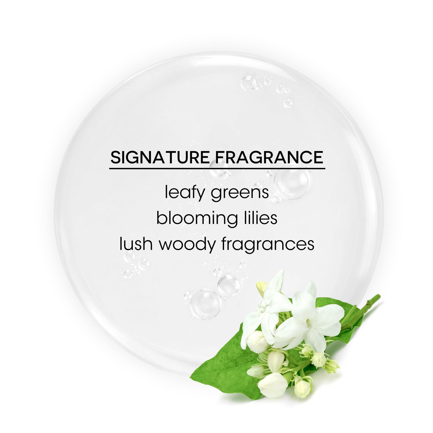 Bain de Terre® Recovery Complex Anti-Frizz Silky Shine Serum Signature Fragrance