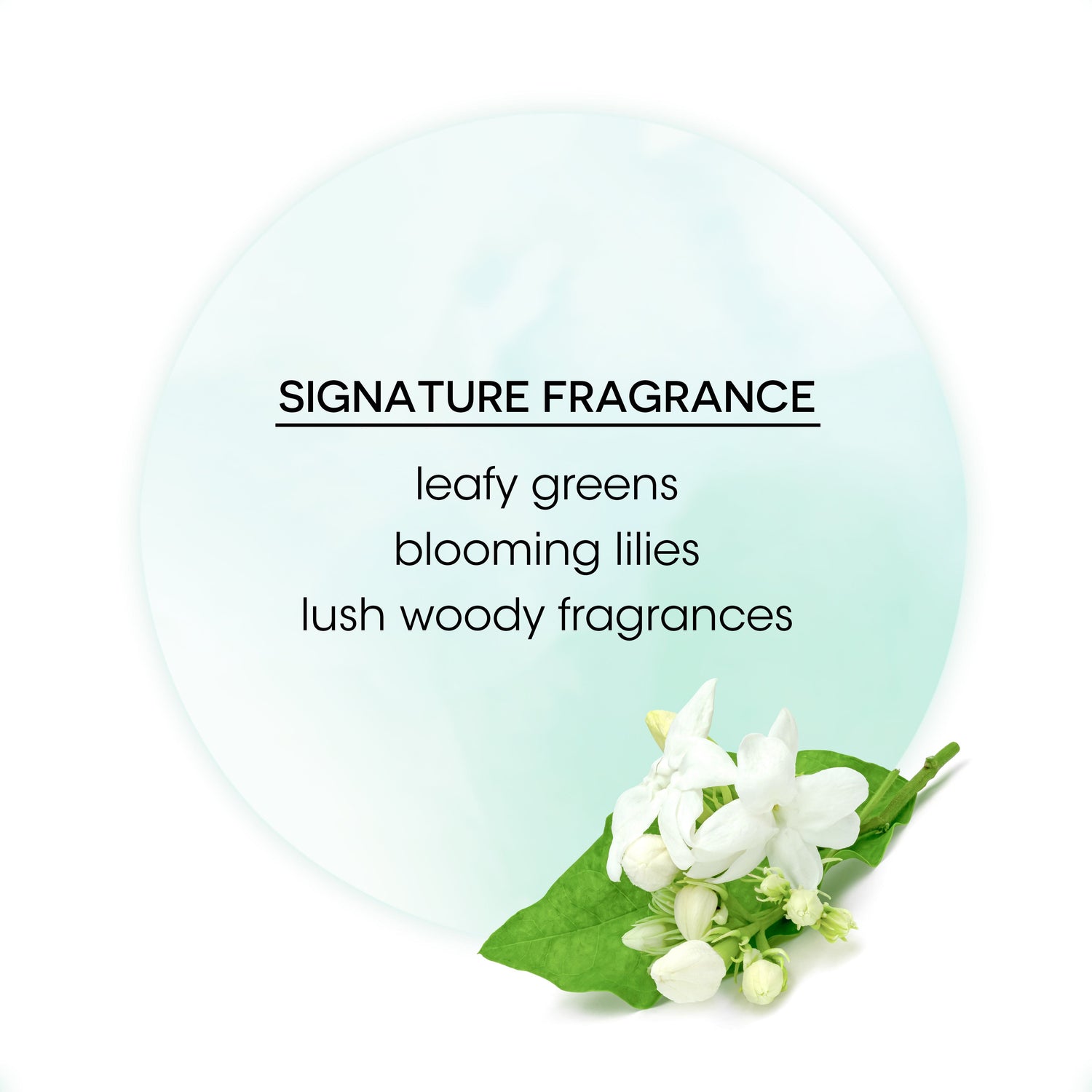 Bain de Terre® Infinite Hold Firm Finishing Spray Signature Fragrance