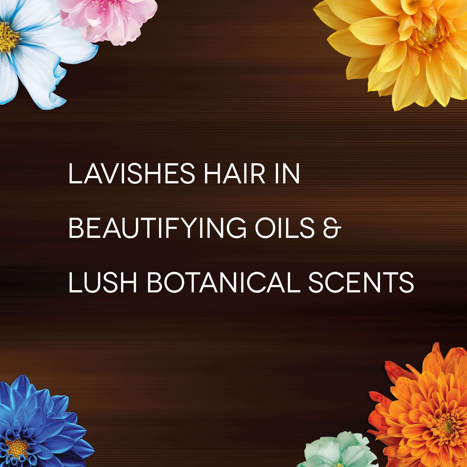 Lavishes Hair in Beautifying Oils and Lush Botanicals